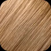 Coloris #6